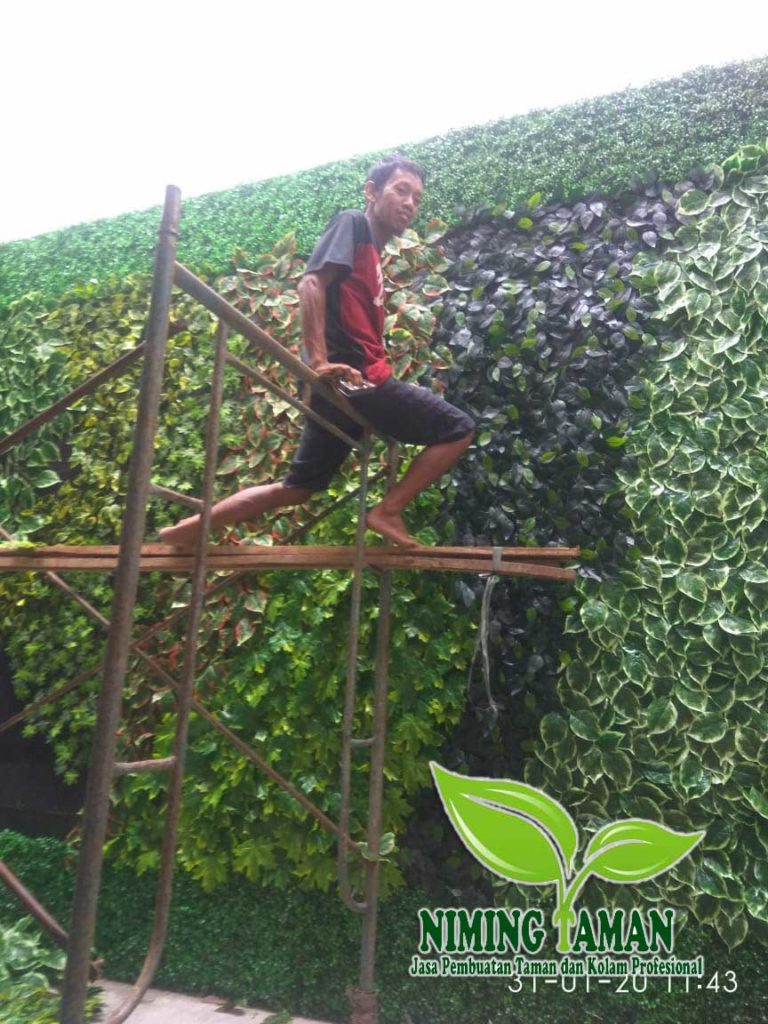 Tukang Taman Vertikal Garden
